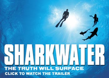 sharkwater link