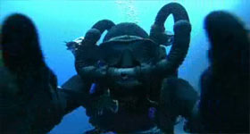 Sharkwater TV Spot 1