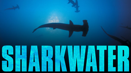 Sharkwater