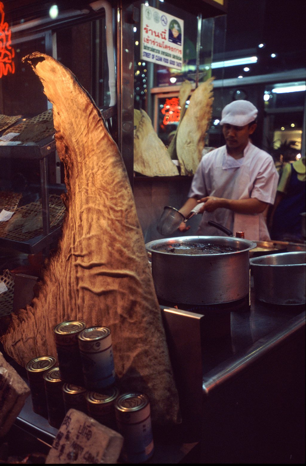 A whale shark fin on display