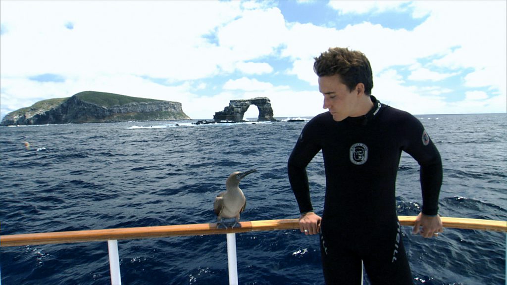 Rob Stewart at Darwin Island