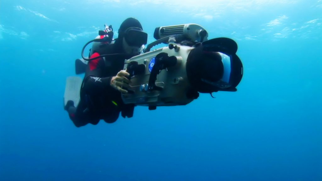 Rob Stewart filming