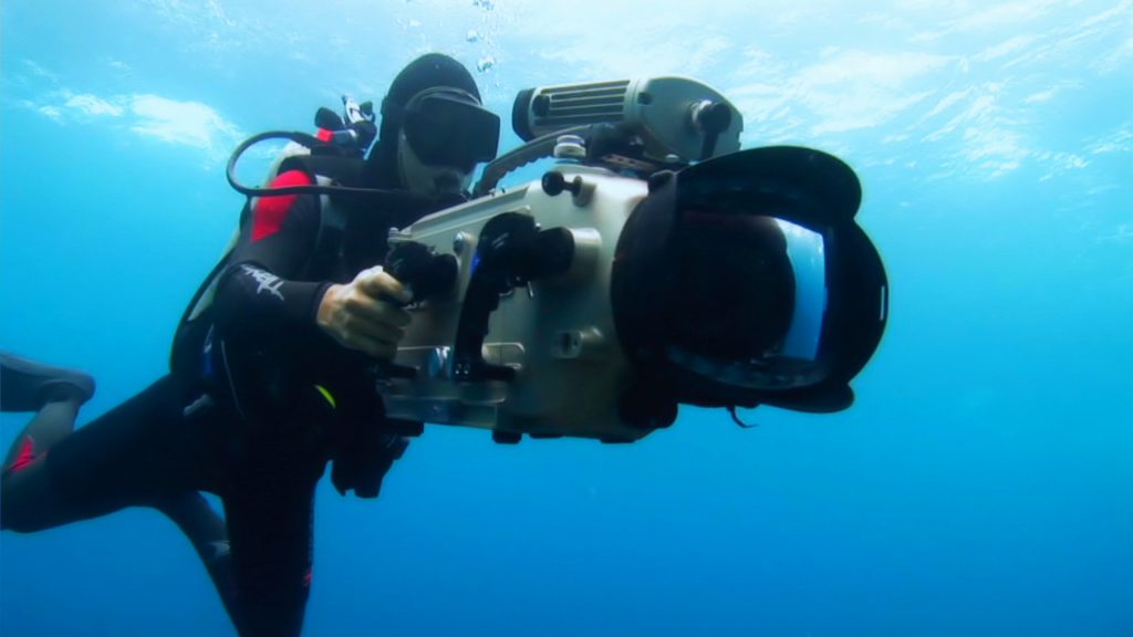 Rob Stewart filming for Sharkwater
