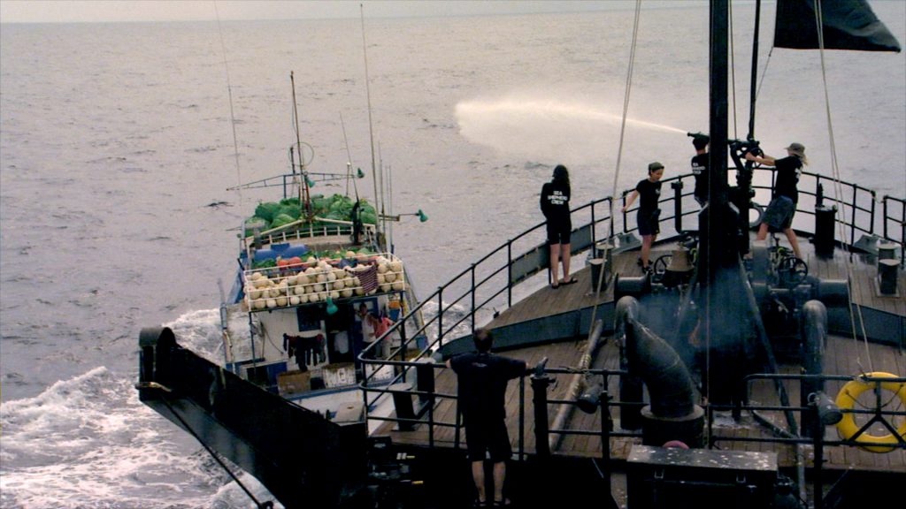 Sea Shepherd’s Ocean Warrior