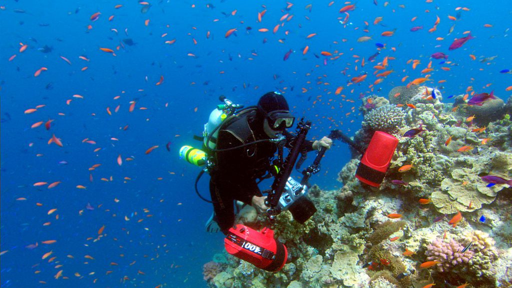 Rob Stewart photographing fish