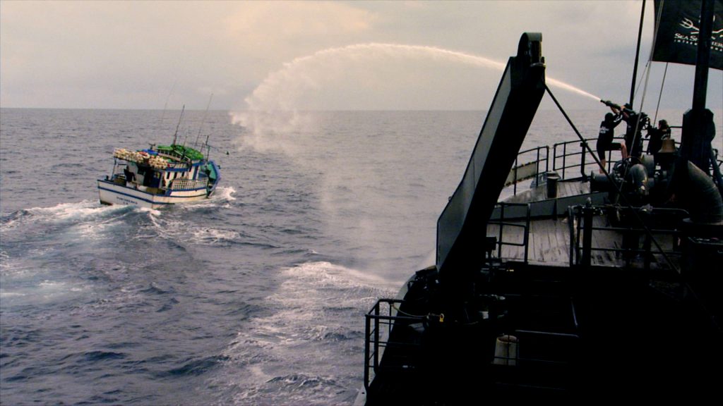Ocean Warrior blasting a pirate fishing boat