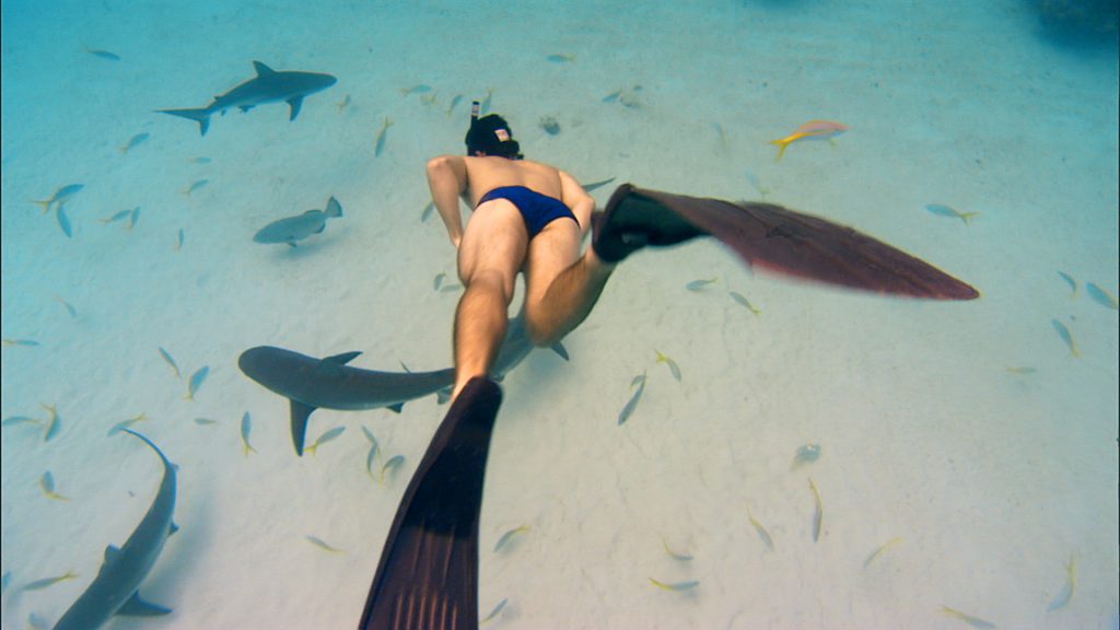 Rob Stewart free diving with Caribbean reef sharks
