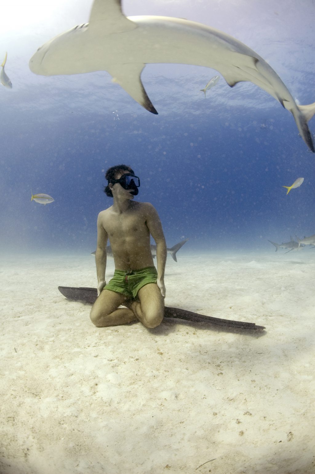 Rob Stewart free diving with Caribbean reef sharks