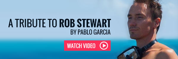 Rob Stewart Tribute