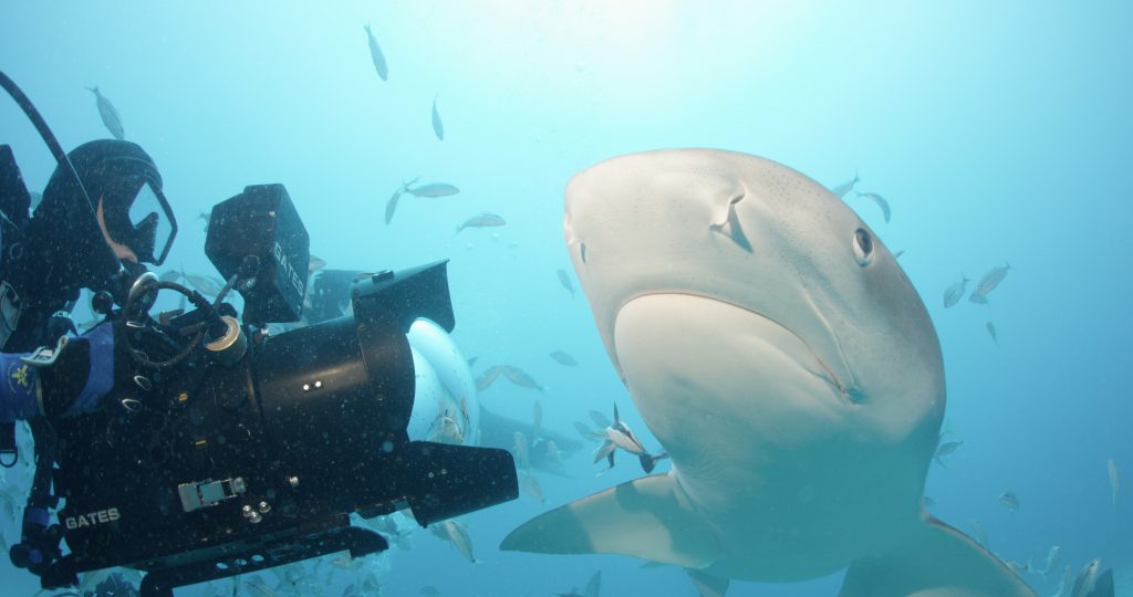 Filming Under Water