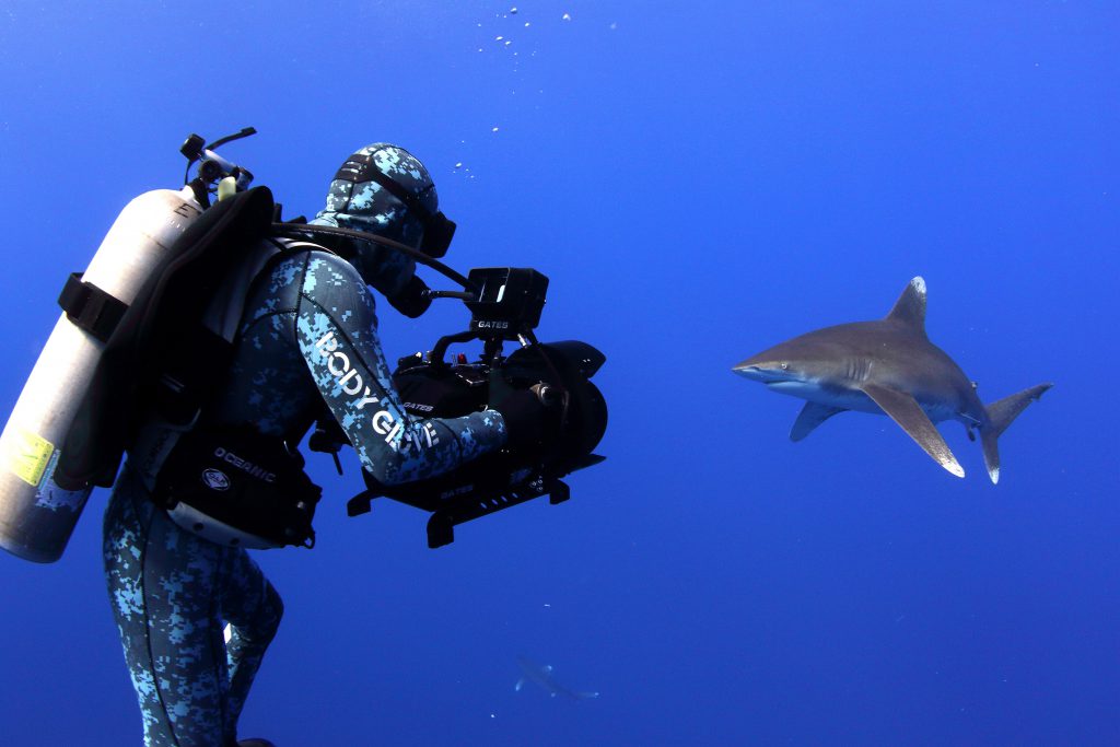 Rob Stewart Filming White Tips