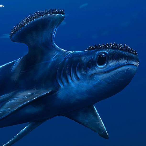 10 Weirdest Sharks in the World - And Top 5 Weirdest Extinct Sharks