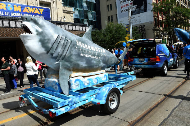 Milton the Shark