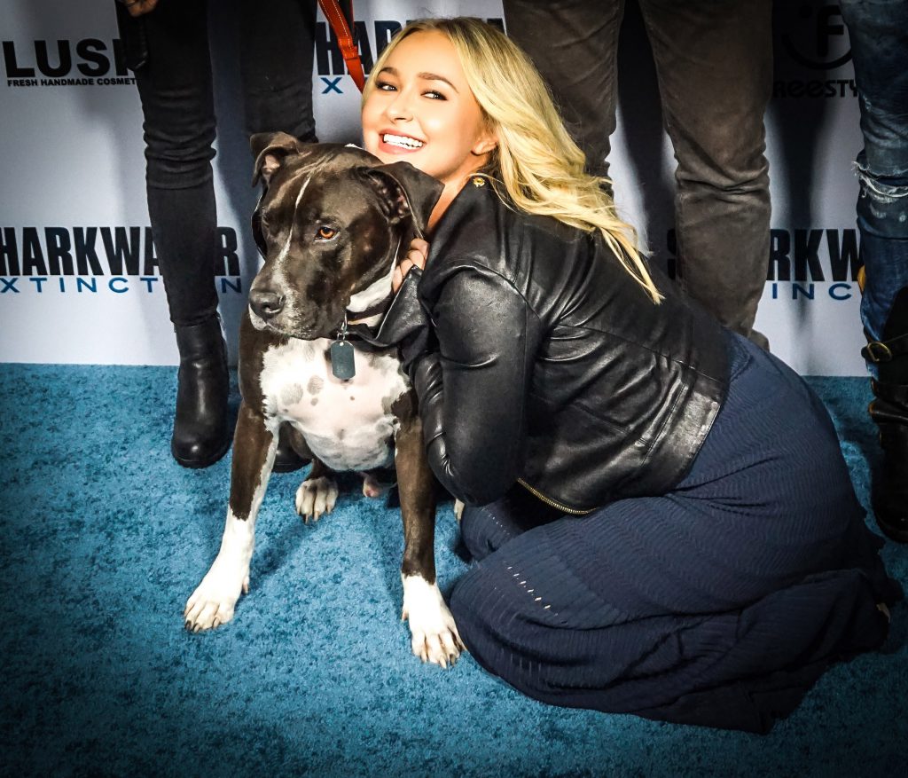 Rob’s dog Atlas with Hayden Panettiere