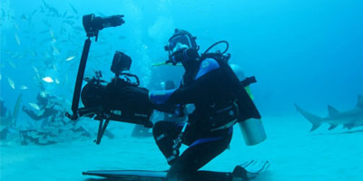 Sharkwater Extinction Production Stills 